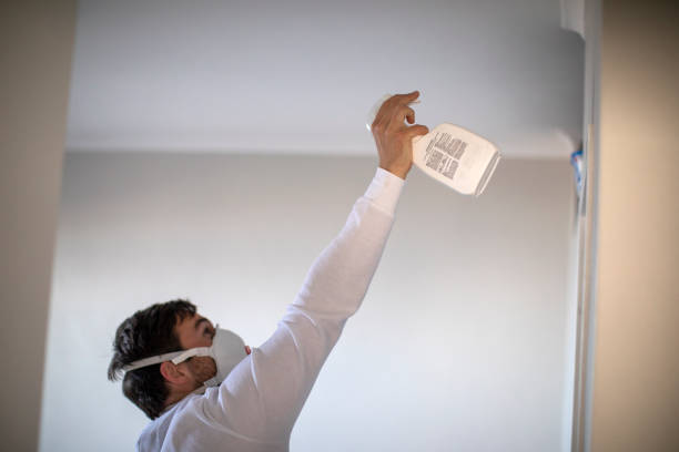 Best DIY Mold Remediation Support Services in Prairie Grove, IL