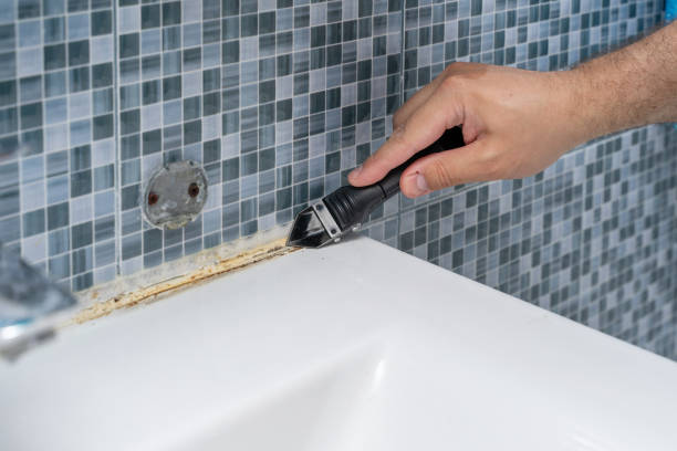 Best Mold Testing and Inspection Services in Prairie Grove, IL